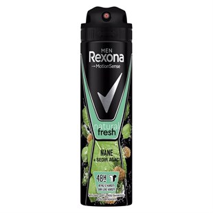 Rexona Men Natural Fresh Nane ve Sedir Ağacı Erkek Deodorant 150ml