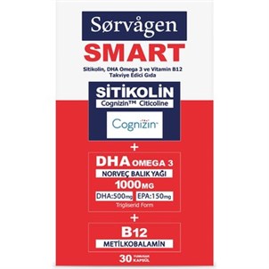 Sorvagen Smart Sitikolin Dha Omega 3 ve B12 30 Tablet